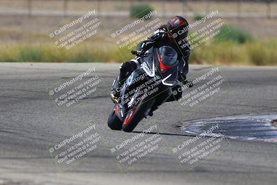 media/Aug-31-2025-Lets Ride (Sun) [[b053ea48c5]]/C Group/1140am (Grapevine)/